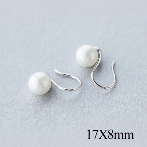 BC Jewelry Wholesale 925 Silver Jewelry Fashion Earrings NO.#925J5LE1787