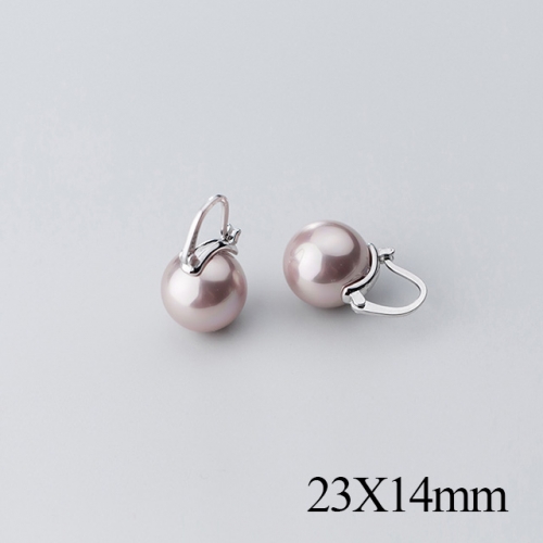 BC Jewelry Wholesale 925 Silver Jewelry Fashion Earrings NO.#925J5SEG2057