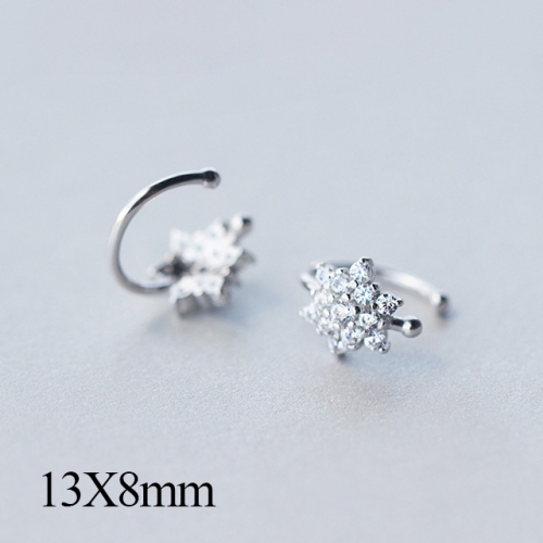 BC Jewelry Wholesale 925 Silver Jewelry Fashion Earrings NO.#925J5SE2447
