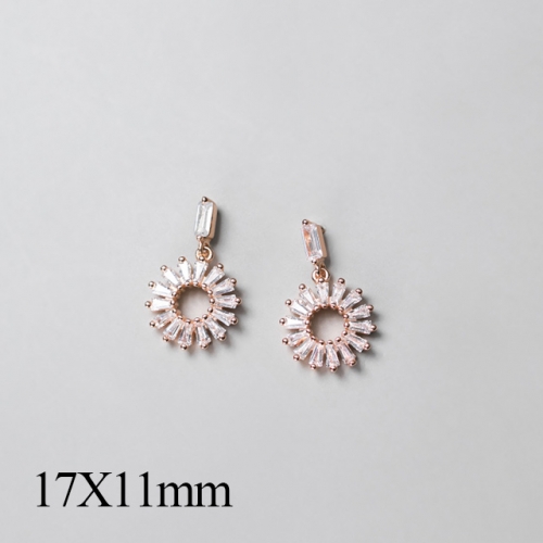 BC Jewelry Wholesale 925 Silver Jewelry Fashion Earrings NO.#925J5REG2561