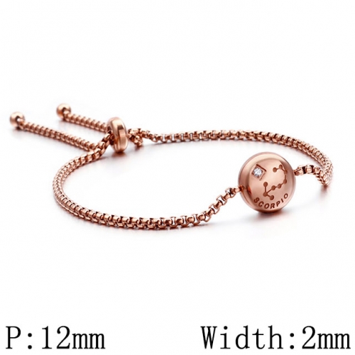BC Wholesale Jewelry Stainless Steel 316L Constellation Bracelets NO.#SJ53B120325