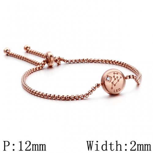 BC Wholesale Jewelry Stainless Steel 316L Constellation Bracelets NO.#SJ53B120326