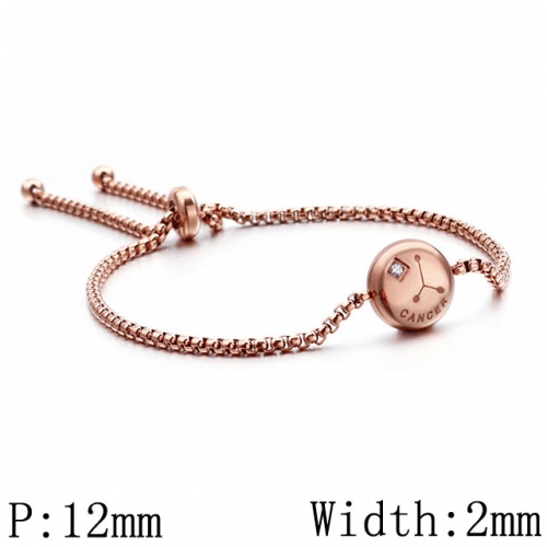 BC Wholesale Jewelry Stainless Steel 316L Constellation Bracelets NO.#SJ53B120331